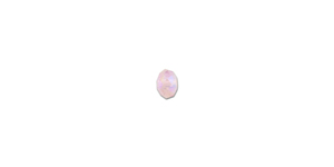 PRESTIGE 5040 6mm LIGHT ROSE SHIMMER 2X Rondelle Bead