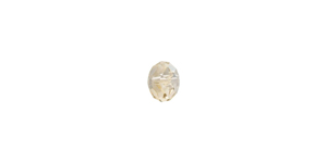 PRESTIGE 5040 8mm CRYSTAL GOLDEN SHADOW Rondelle Bead