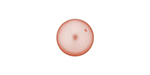 PRESTIGE 5810 8mm Round Crystal Pearl Rose Peach