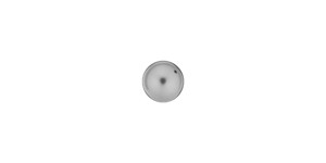 PRESTIGE 5810 6mm GREY Crystal Round Crystal Pearl