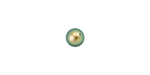 PRESTIGE 5810 6mm IRIDESCENT GREEN Crystal Round Crystal Pearl