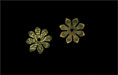 Eight Petal Flower End Cap 10/4mm : Antique Brass