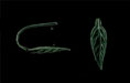 Veined Leaf Pinch Bail 20/6mm: Gunmetal