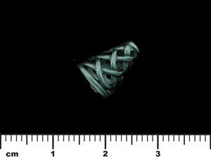 Celtic Bead Cone 12/10mm : Gun Metal
