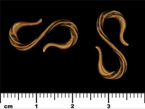 Tress Hook 22/11mm : Antique Copper