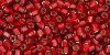 TOHO Hexagon 11/0 : Transparent Ruby