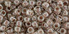 TOHO Round 6/0 Tube 2.5" : Inside-Color Crystal/Antique Plum-Lined