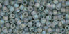 TOHO Round 11/0 Tube 2.5" : Transparent-Rainbow Frosted Black Diamond