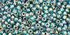 TOHO Round 11/0 Tube 2.5" : Gold-Lined Rainbow Aqua