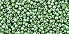 TOHO Round 15/0 : PermaFinish - Galvanized Mint Green