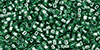 TOHO Treasure #1 Tube 2.5" : Transparent Silver-Lined Jade