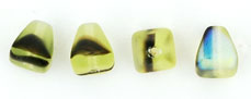 Pyramid 8/7mm : Matte - Jonquil Tortoise AB (Loose)
