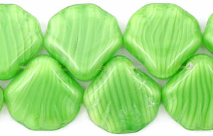 Shells 14mm : Coral Green