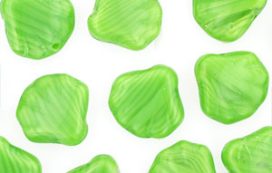 Loose Flat Shells 14mm : Bright Coral Green