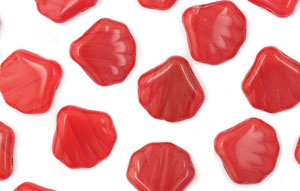 Loose Flat Shells 14/14mm : Persian Red Coral