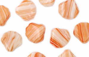 Loose Flat Shells 14mm : White/Orange